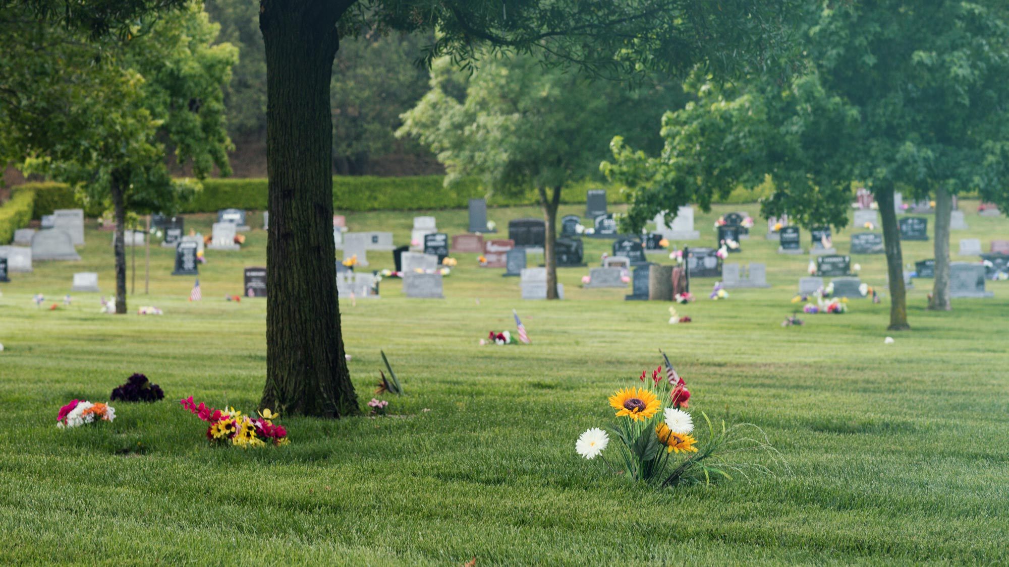 Cemetery of Valley Memorial Park in Novato CA