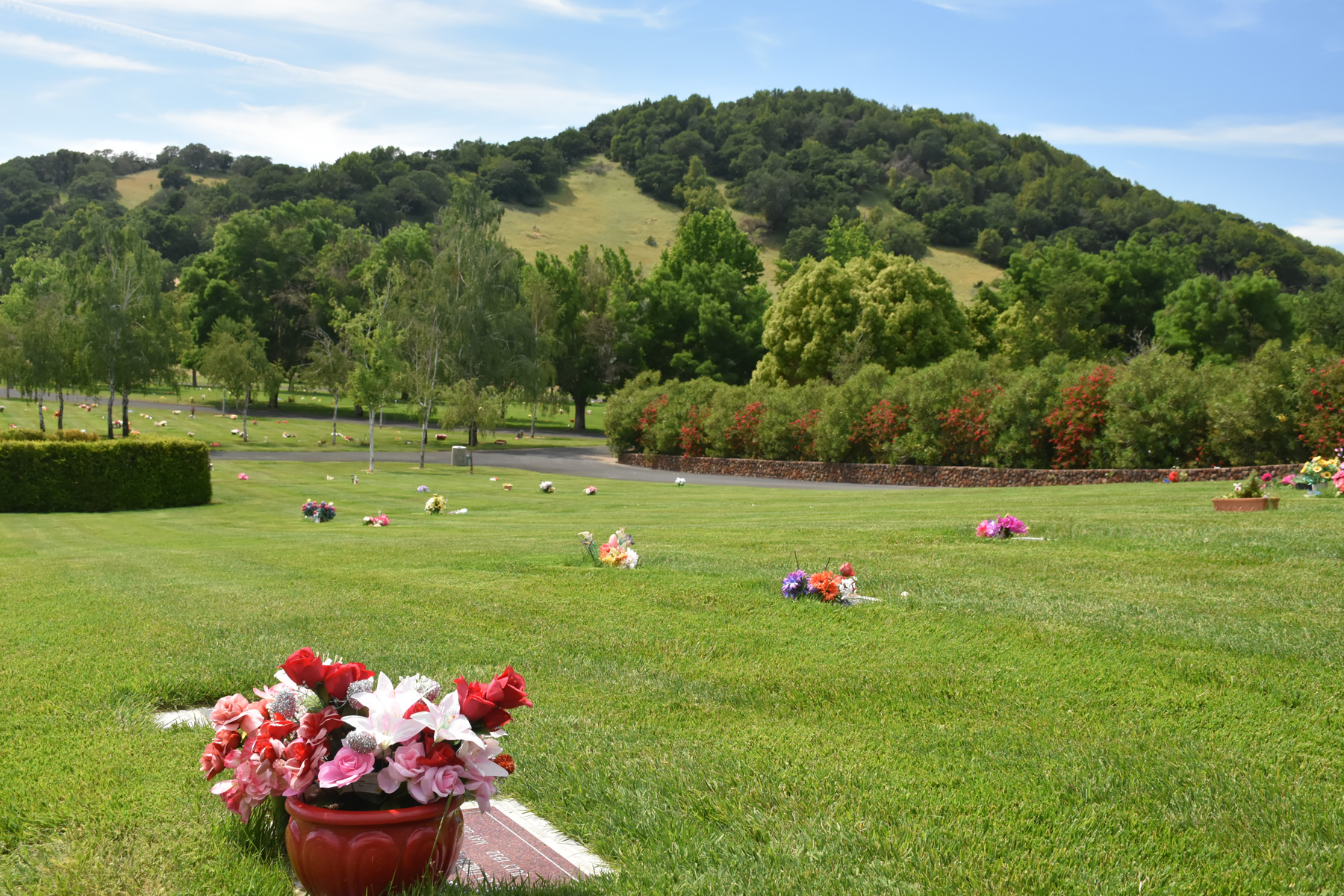 Valley Memorial Park Cemetery grounds in Novato CA