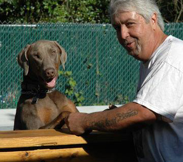 Big Mack's Tree Services in Staten Island NY and Brooklyn NY