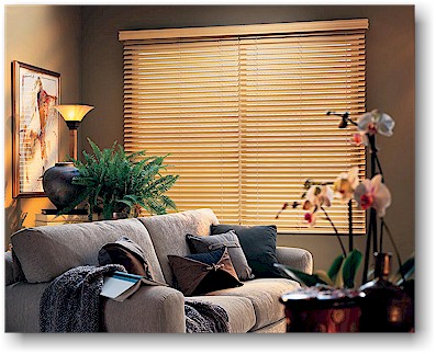 Hunter Douglas Window Shades & Blinds