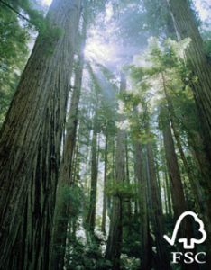 FSC Forest Stewardship Council Lumber