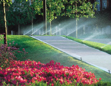 Rain Bird Irrigation Systems